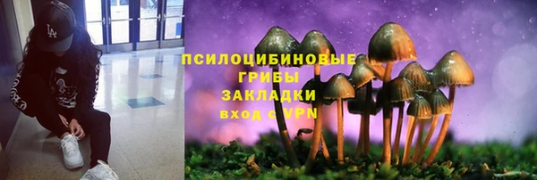 мдма Медвежьегорск